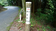 林道との合流