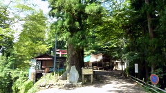参道
