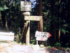 吾野駅分かれ道
