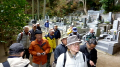 P1130718.jpg