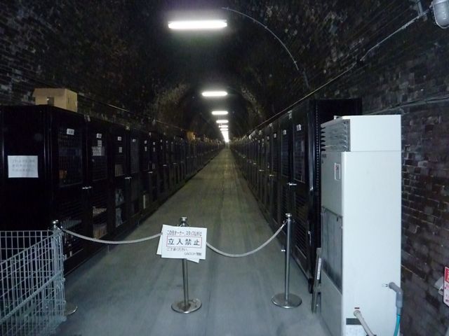 P1180380_640.jpg