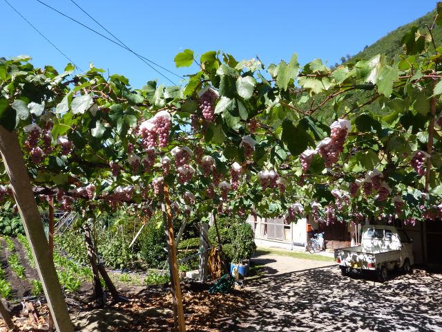 P1180381_640.jpg