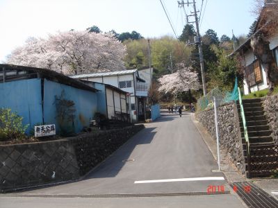 DSC07051_400.jpg