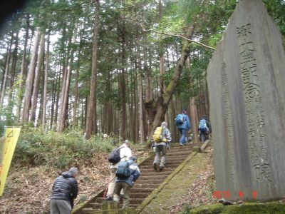 DSC07976_400.jpg