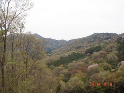 DSC07980_400.jpg