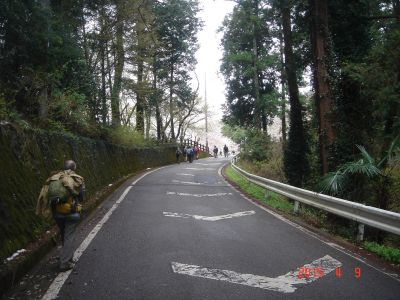 DSC07983_400.jpg