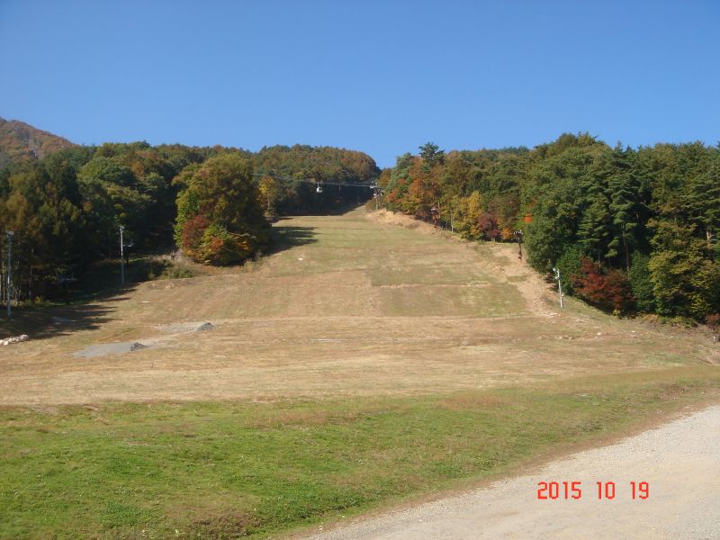 DSC08211_800.jpg