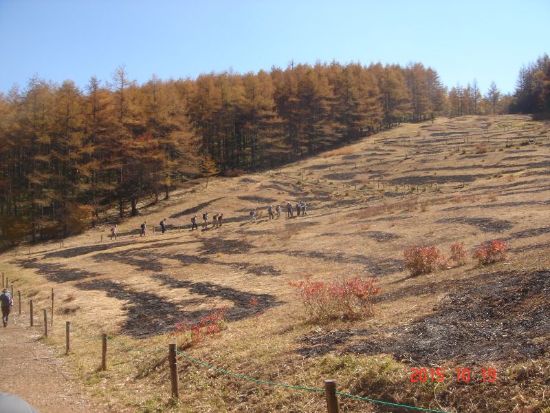 DSC08216_800.jpg
