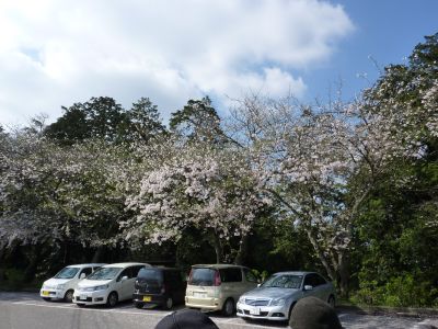 P1000540_400.jpg