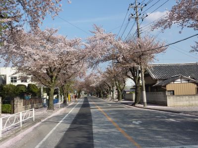 P1000544_400.jpg