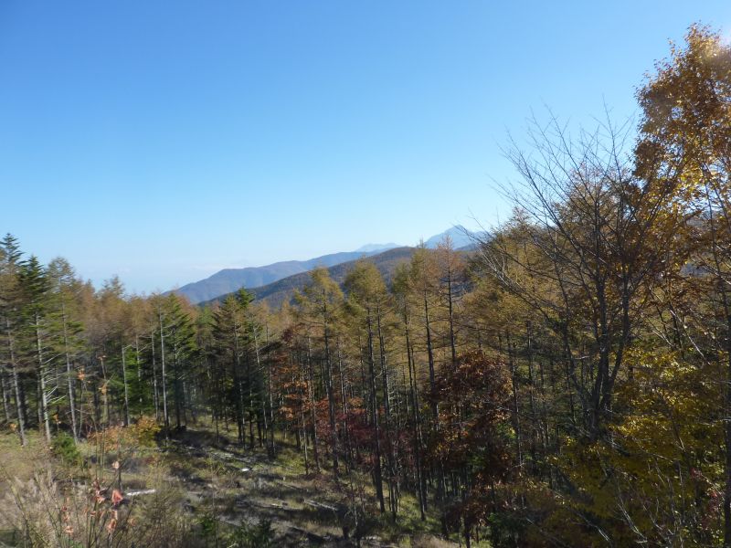 P1000864_800.jpg