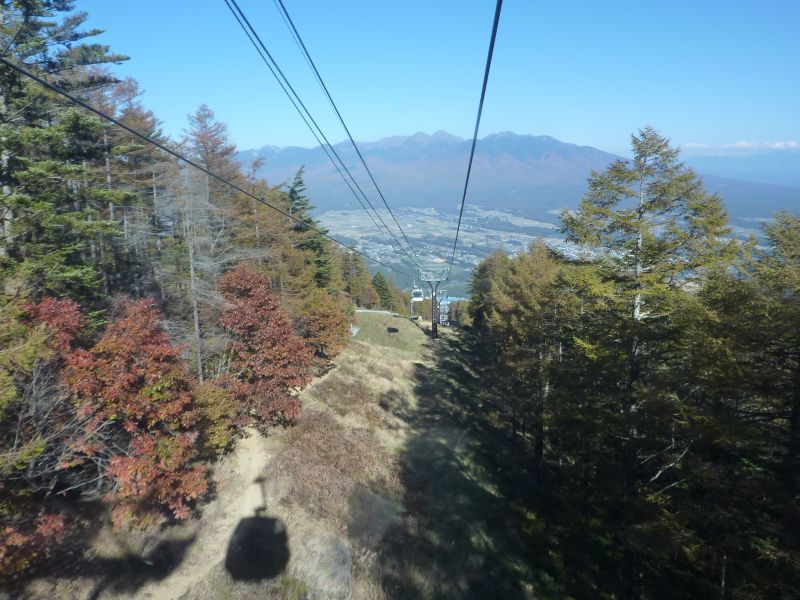 P1000866_800.jpg