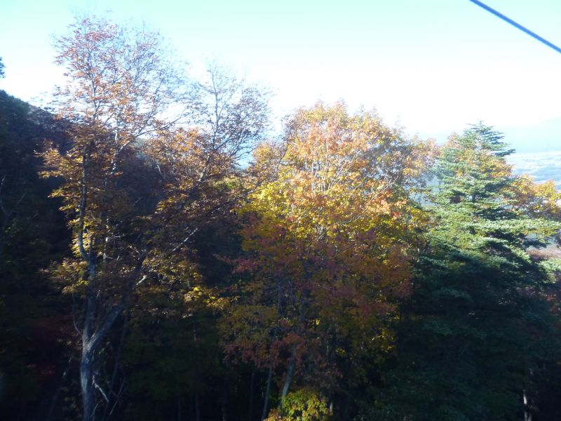 P1000868_800.jpg