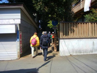005_400.jpg