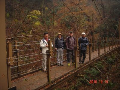 DSC08568_400.jpg