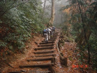 DSC08569_400.jpg