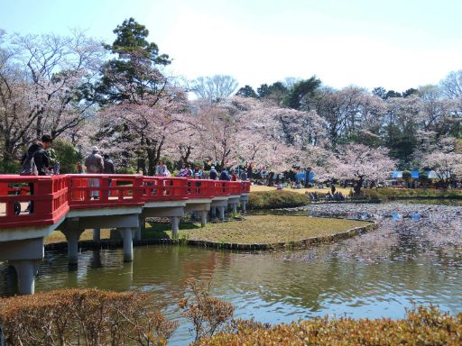 2017_04040054_512.jpg