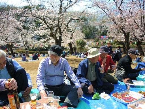 2017_04040065_512.jpg