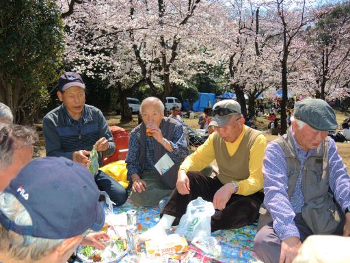 2017_04040067_512.jpg
