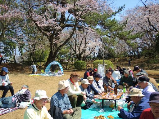 2017_04040077_512.jpg