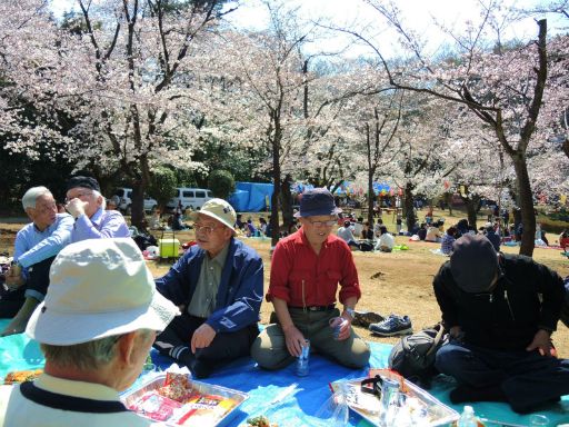 2017_04040084_512.jpg