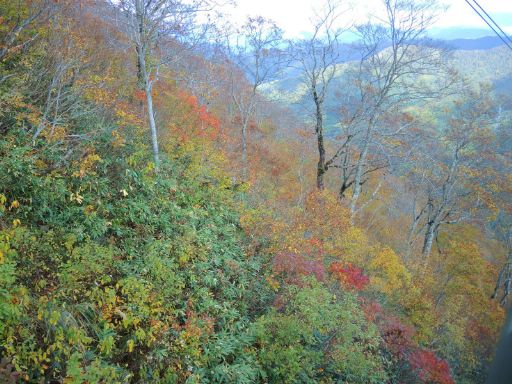 2017_10200029_512.jpg