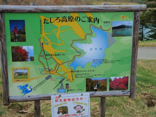 2017_10200030_512.jpg