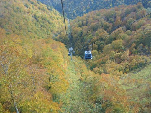 2017_10200048_512.jpg