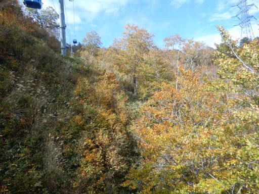 DSCN1862_512.jpg