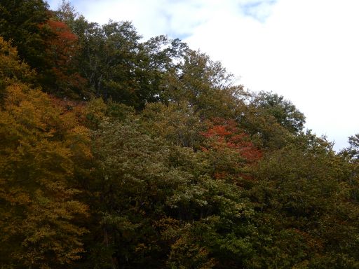 DSCN1874_512.jpg