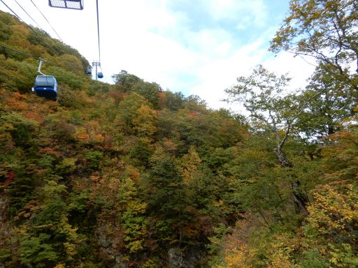 DSCN1875_512.jpg