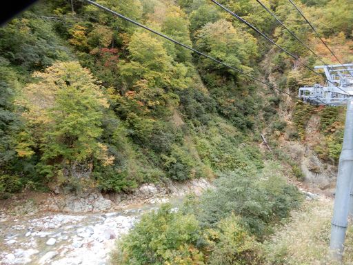 DSCN1876_512.jpg