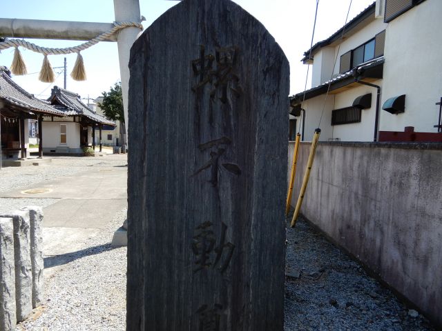DSCN3060_640.jpg