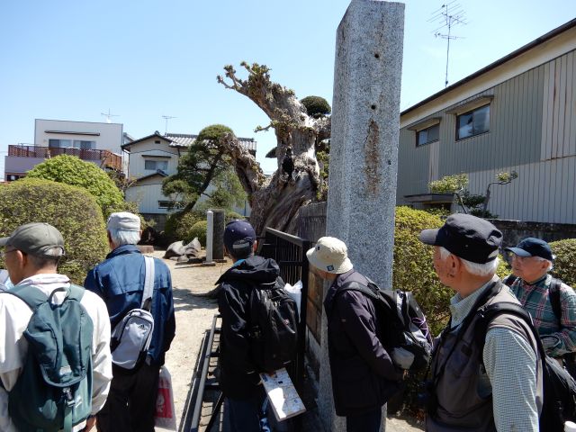 DSCN3080_640.jpg