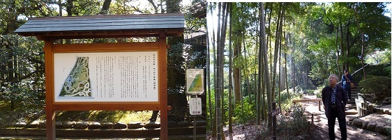 国分寺6