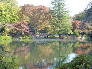 国分寺7