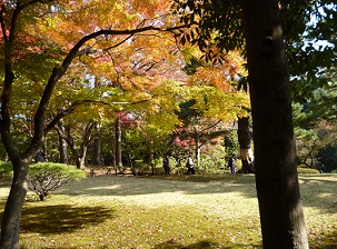 国分寺佐藤